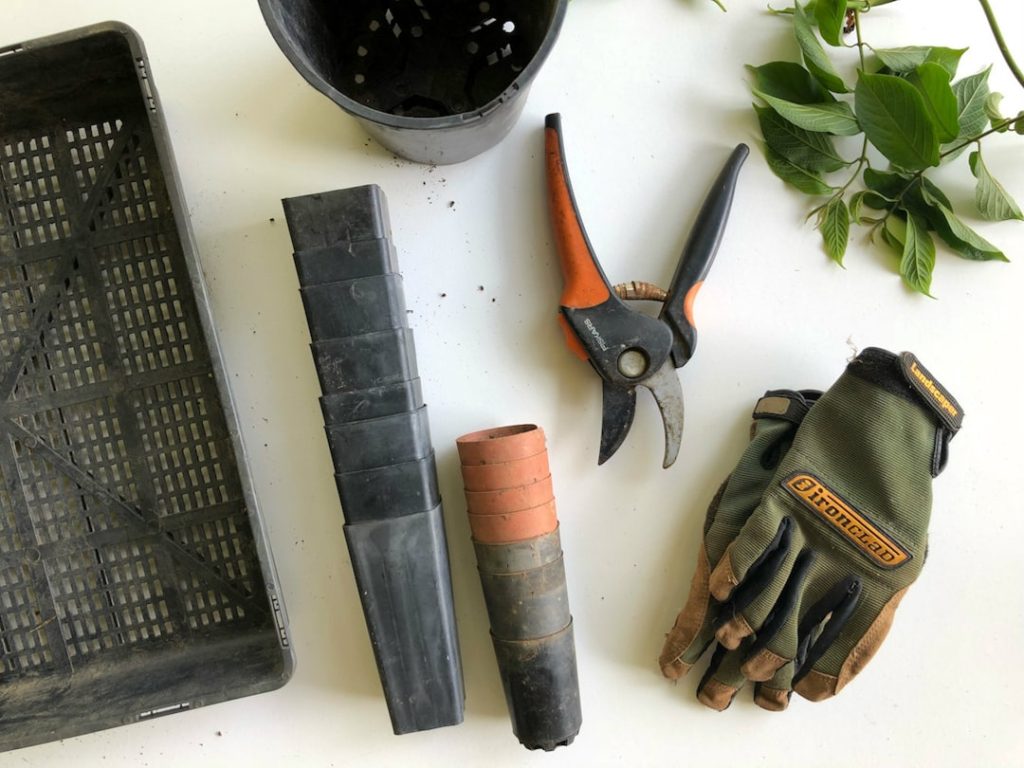 Essential gardening equipment for those looking to flex their green thumb.
