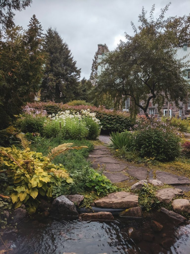 green-plants-and-trees-near-gray-rocks-r4rfj9ttjdg