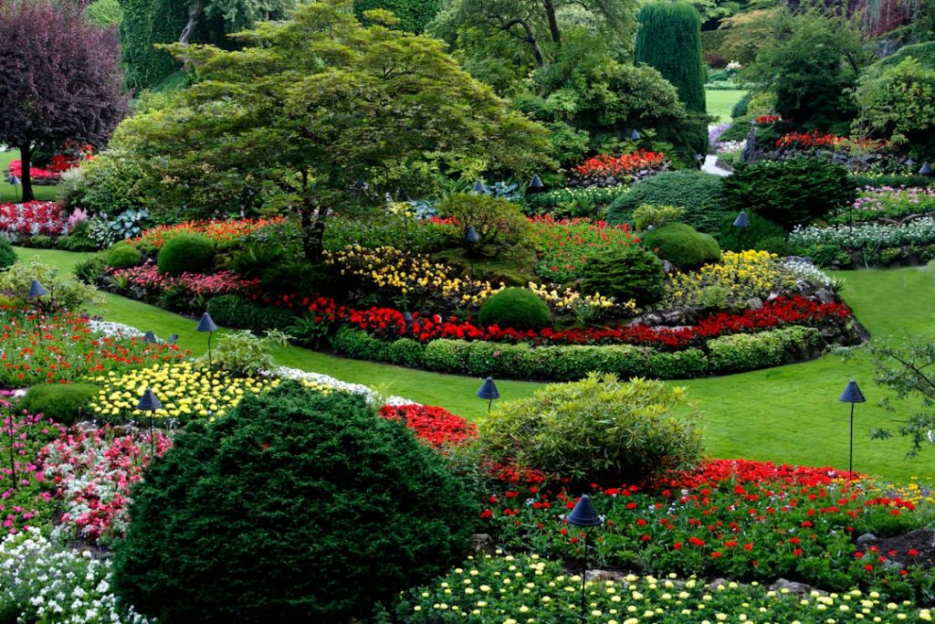 This was the view of Bushart Gardens in Victoria, BC, Canada in July from a hill.