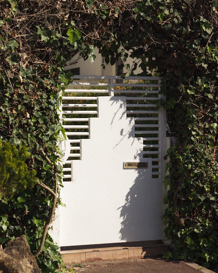 white-metal-gate-surrounded-by-lush-greenery-31961651